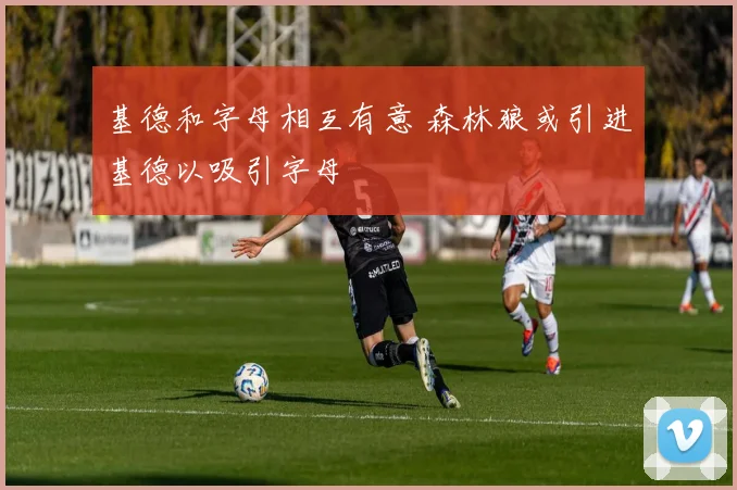 基德和字母相互有意 森林狼或引进基德以吸引字母