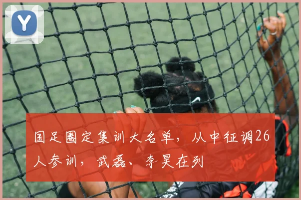 国足圈定集训大名单，从中征调26人参训，武磊、李昊在列